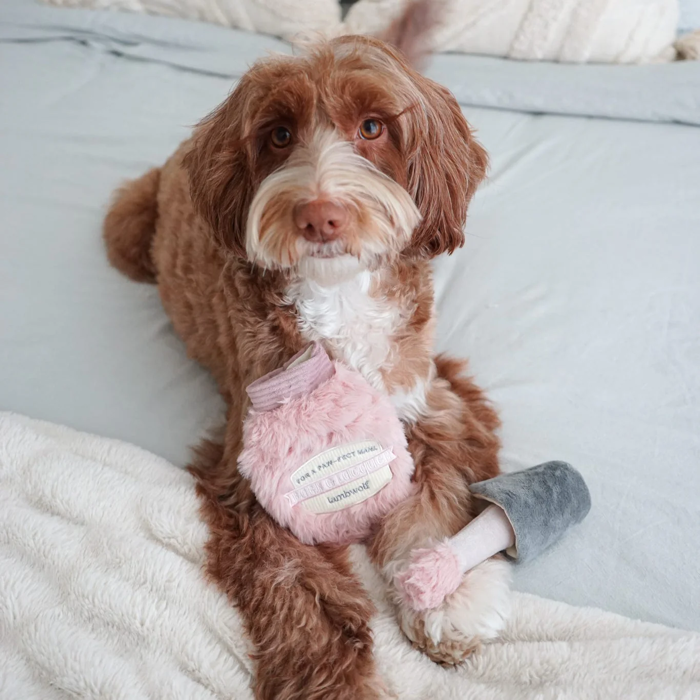 Lambwolf Collective - Nail Polish Dog Toy