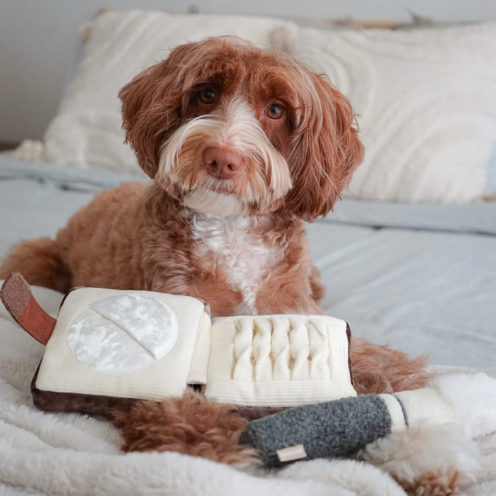 Lambwolf Collective - Setting Powder & Brush Dog Toy
