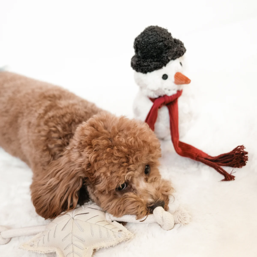 Lambwolf Collective - Snowman