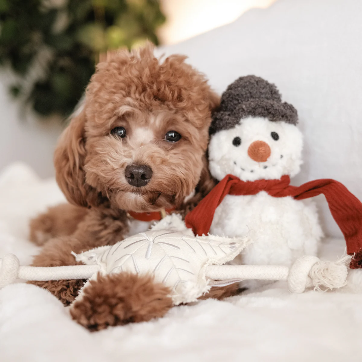 Lambwolf Collective - Snowman