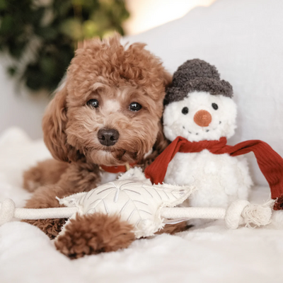 Lambwolf Collective - Snowman