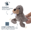 Tall Tails - Animated Walrus Dog Toy