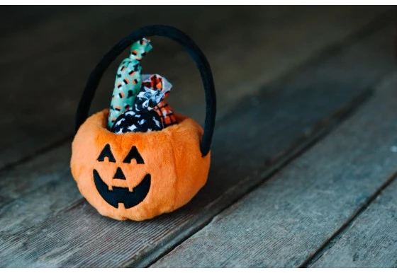 P.L.A.Y. - Howl-o-ween Treat Basket