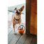 P.L.A.Y. - Howl-o-ween Treat Basket