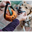 P.L.A.Y. - Howl-o-ween Treat Basket