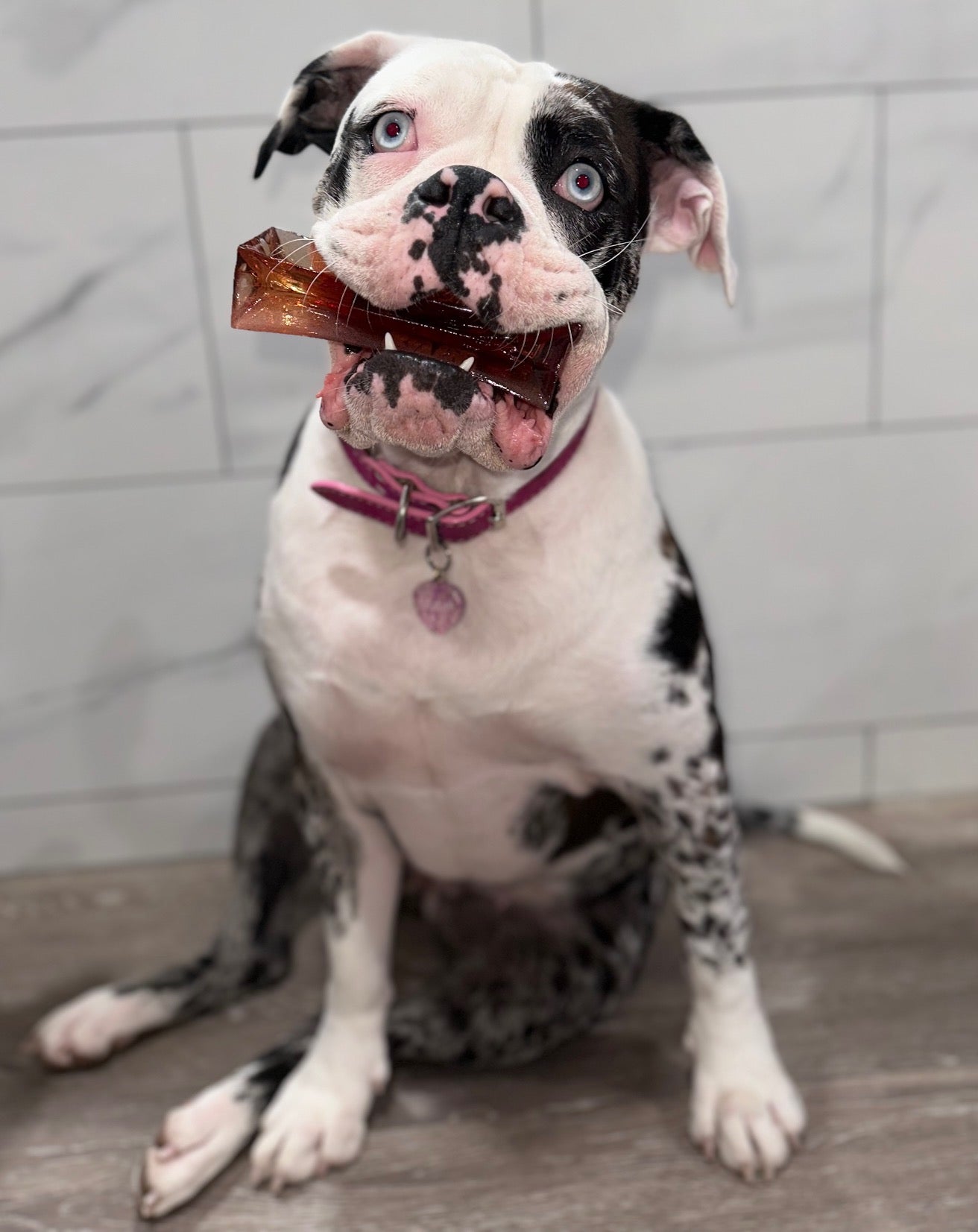 Wag & Bright - Mighty Marrows Collagen Dental Chew