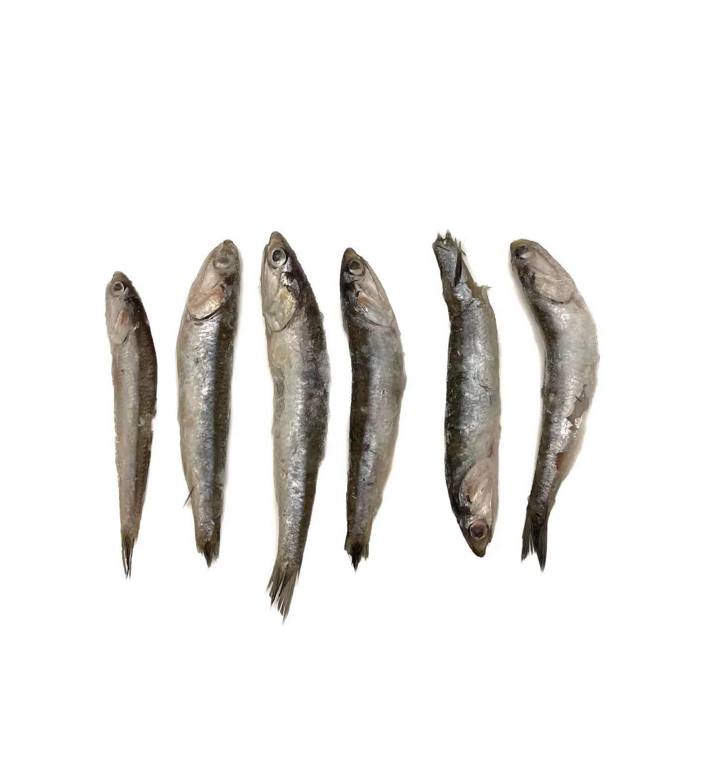 Evolution Raw - Whole Wild-Caught Anchovies - 2 lb