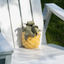 Lambwolf Collective - Pineapple Pop Dog Toy