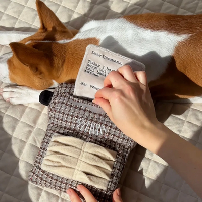 Lambwolf Collective - Typewriter Dog Toy