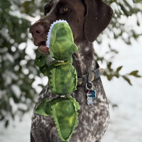 Tall Tails - Jointed Plush Alligator Dog Toy