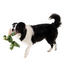 Tall Tails - Jointed Plush Alligator Dog Toy