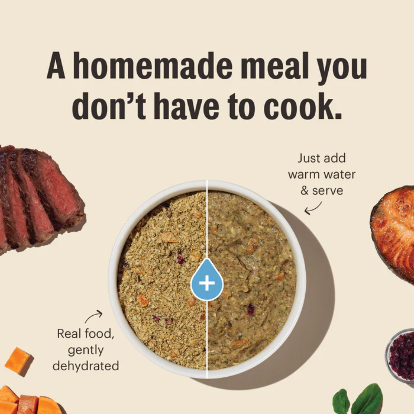 The Honest Kitchen - Wholemade Whole Grain - Dehydrated Dog Food