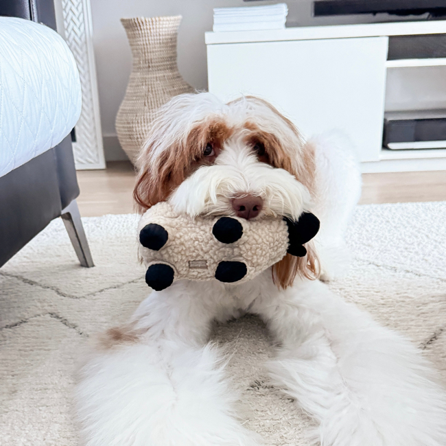 Lambwolf Collective - Lamb Dog Toy