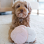Lambwolf Collective - Blush Dog Toy
