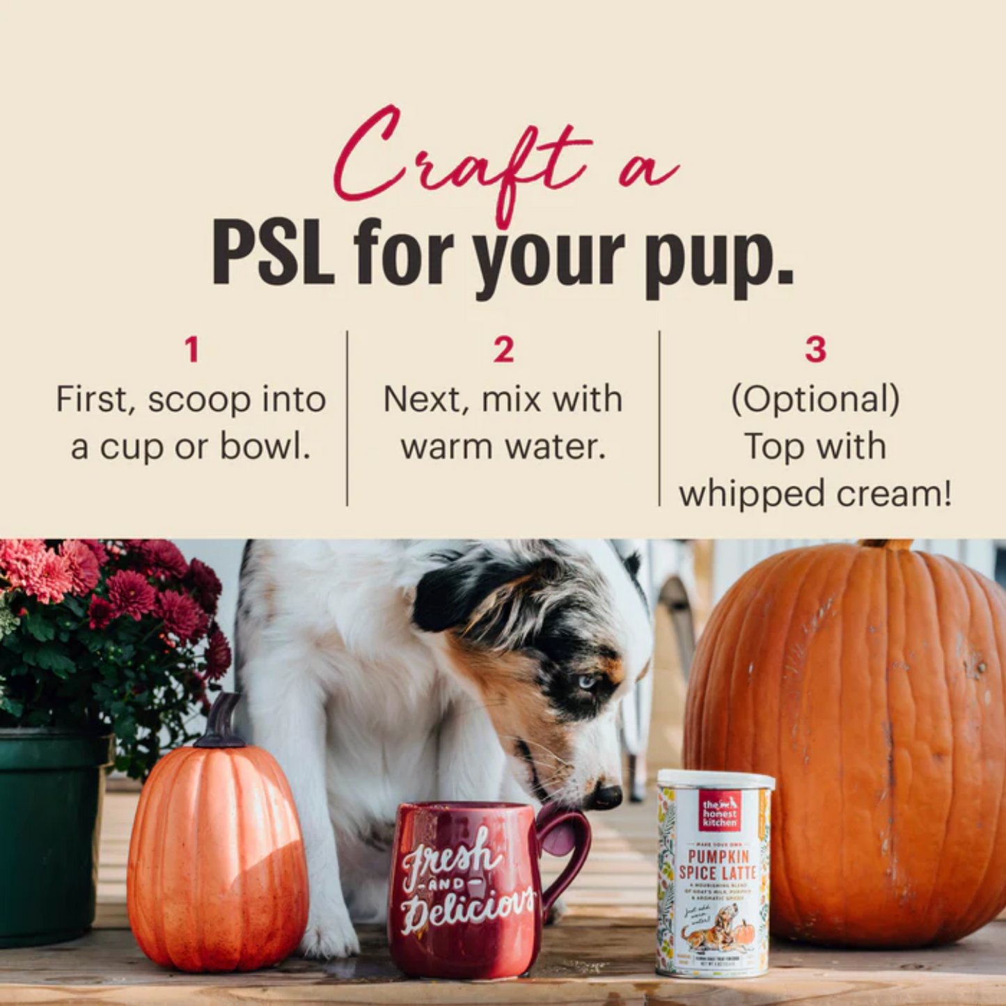 The Honest Kitchen - Pumpkin Spice Latte