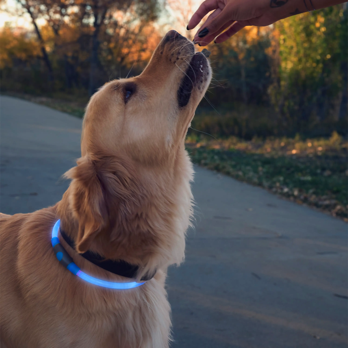 Nite-Ize - NiteHowl Rechargeable LED Safety Necklace