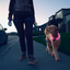 Nite-Ize - NiteHowl Rechargeable LED Safety Necklace