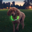Nite-Ize - NiteHowl Rechargeable LED Safety Necklace
