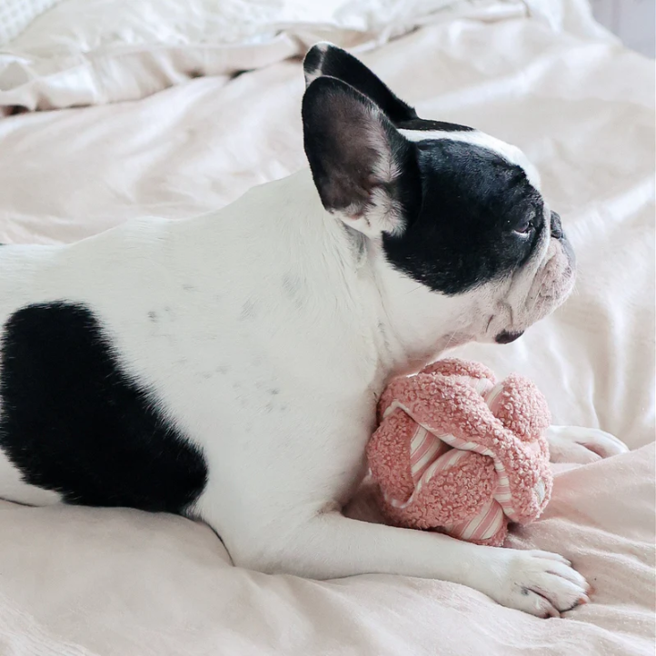 Lambwolf Collective - Monti Dog Toy