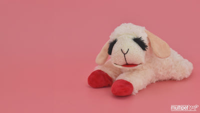 Multipet - Original Lamb Chop Dog Toy