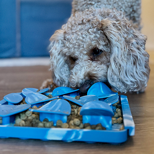 Tall Tails - Foraging Mat for Dogs - Pebble Stream
