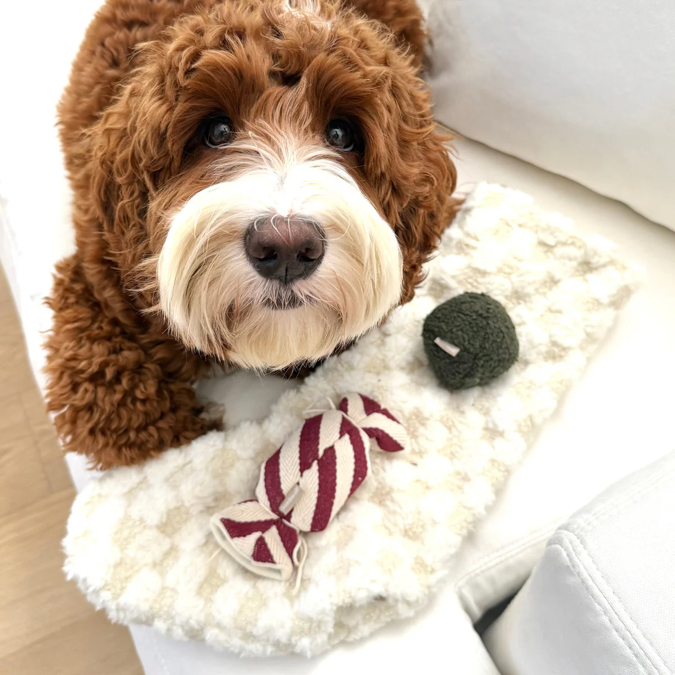 Lambwolf Collective - Xmas Stocking