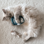 Lambwolf Collective - Kitty Sardines Dog Toy