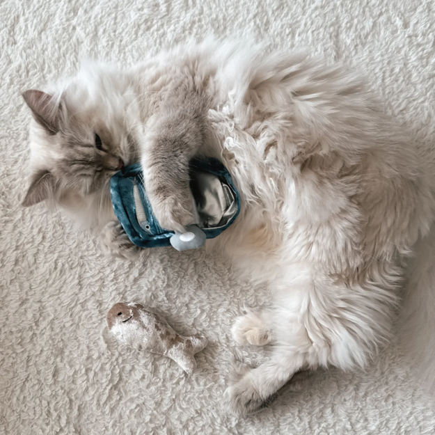 Lambwolf Collective - Kitty Sardines Dog Toy