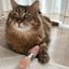 Lambwolf Collective - Kitty Lipstick Dog Toy