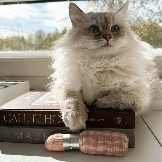 Lambwolf Collective - Kitty Lipstick Dog Toy
