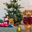 P.L.A.Y. - Home for the Holidays Paw Warmers