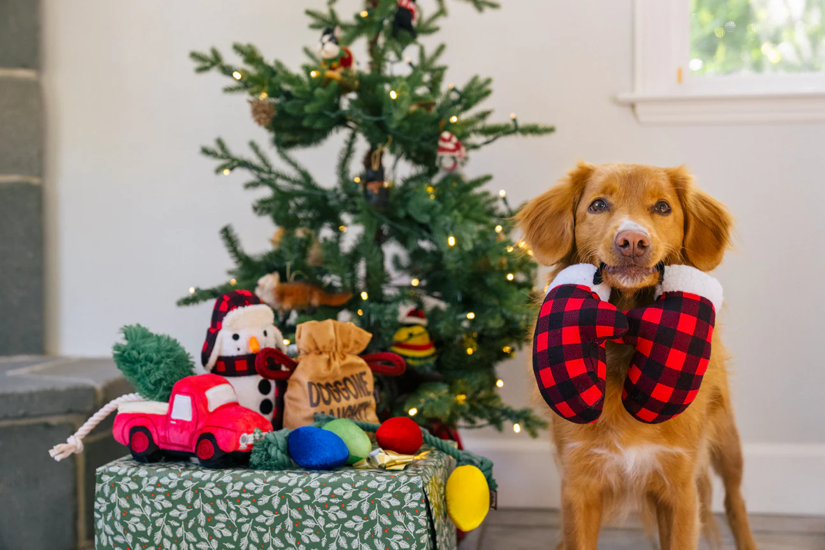 P.L.A.Y. - Home for the Holidays Paw Warmers