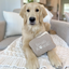 Lambwolf Collective - Eyeshadow Palette Dog Toy