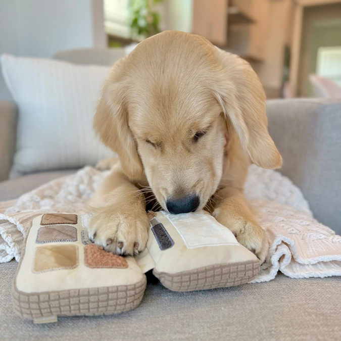 Lambwolf Collective - Eyeshadow Palette Dog Toy