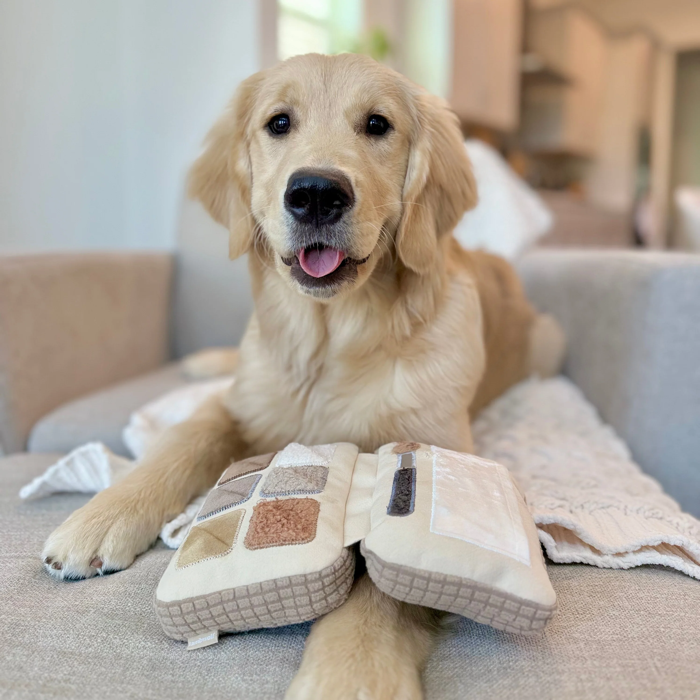 Lambwolf Collective - Eyeshadow Palette Dog Toy