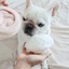 Lambwolf Collective - Blush Dog Toy