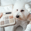 Lambwolf Collective - Eyeshadow Palette Dog Toy