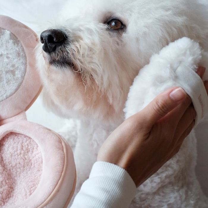 Lambwolf Collective - Blush Dog Toy