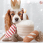Lambwolf Collective - Birthday Cake Dog Toy