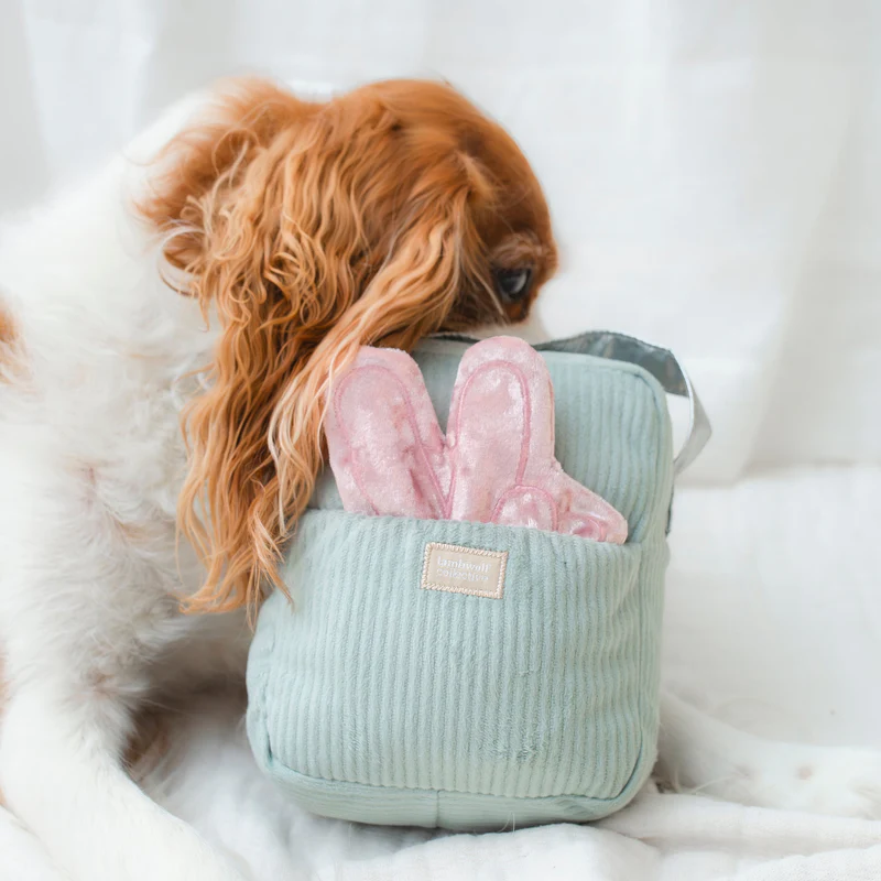 Lambwolf Collective - Woof FM Dog Toy