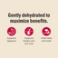The Honest Kitchen - Wholemade Whole Grain - Dehydrated Dog Food