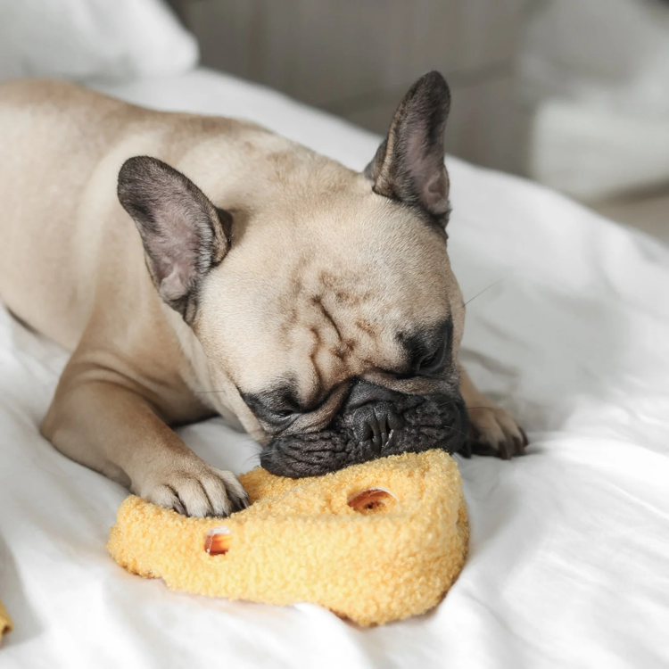 Lambwolf Collective - Fromage Dog Toy