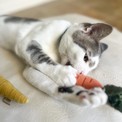 Lambwolf Collective - Baby Carrots Cat Toy