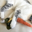 Lambwolf Collective - Baby Carrots Cat Toy