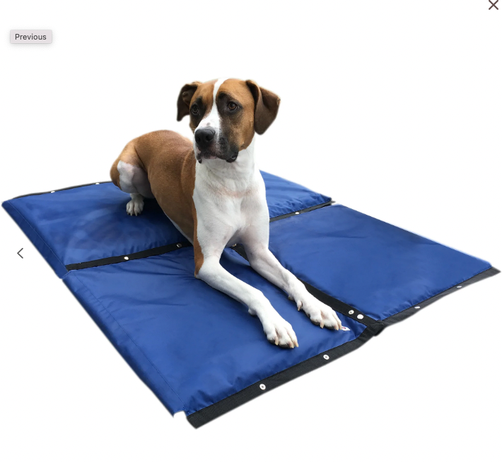 Cooling products for 2024 dogs