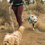 Ruffwear - Flagline Leash