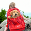 Kurgo - G-Train Dog Carrier Backpack