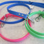 North Range - Biothane Leashes (Various Colors)