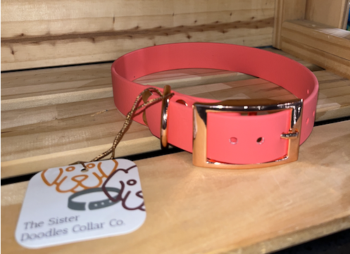The Sister Doodles Collar Co - Biothane Buckle Collar - Coral with Rose Gold