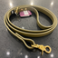 DogDog Goose - Biothane Leashes